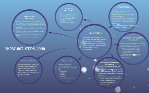 Nom 007 Stps 2000 By Alejandro Mariscal