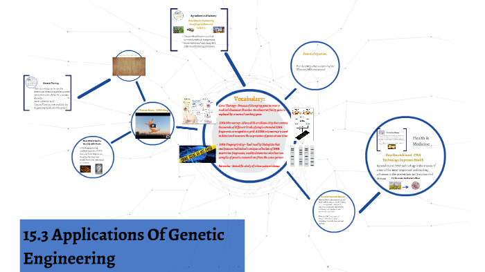 15.3 Applications of Genetic Engineering by Ricardo Agosto on Prezi
