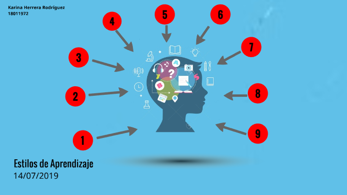 Estilos de Aprendizaje by Karina Herrera Rodríguez on Prezi
