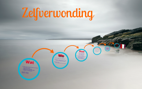 Zelfverwonding By Annemie Kenis On Prezi