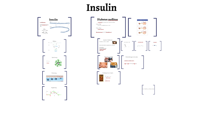 Insulin Präsentation by Cécile Mouron on Prezi