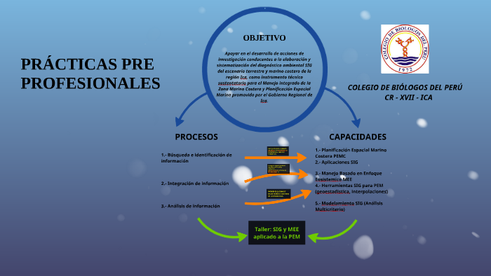 PRÁCTICAS PRE PROFESIONALES by on Prezi