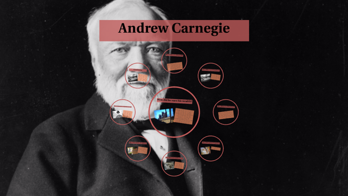 the andrew carnegie reader