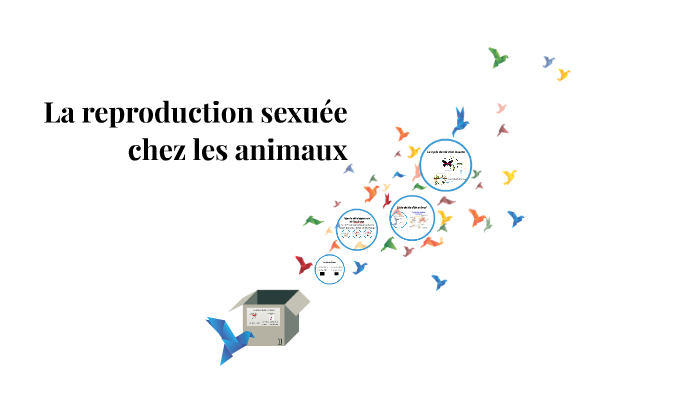 La Reproduction Sexuée Chez Les Animaux By Jean Nicolas Rouleau On Prezi 2125