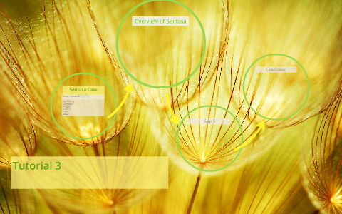 Sentosa case study 06 image