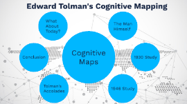 Cognitive Map Ap Psychology Cognitive Maps By Ashlyn Persyn