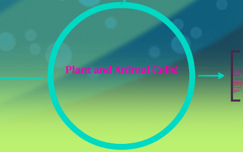 Plant and Animal Cells by valeria g on Prezi