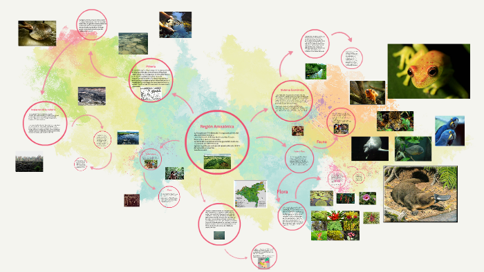 Región Amazónica by on Prezi