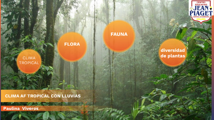 Clima Af Tropical Con Lluvias Todo El Año By Paulina Viveros Sanchez On Prezi