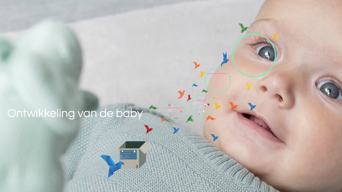 Ontwikkeling van de baby by Diron Sterk