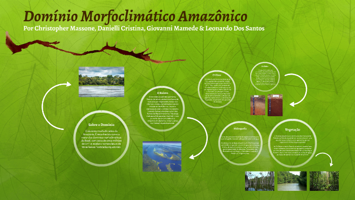 Domínio Morfoclimático Amazônico by Giovanni Andrade on Prezi