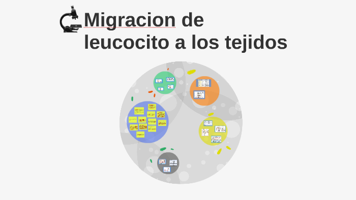 Migracion de leucocito a los tejidos by roelin morales morales on Prezi