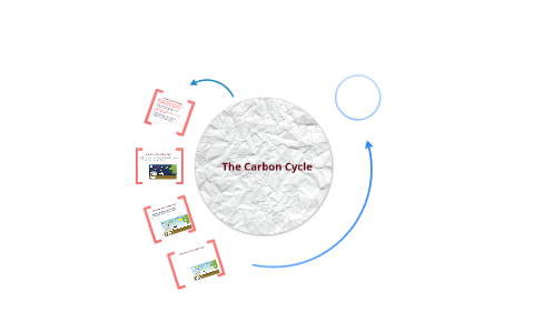 The Carbon Cycle by Bluebell Whyman on Prezi