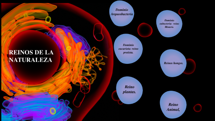 Reinos de la naturaleza by Celeste Barrientos on Prezi
