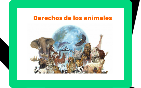 Derechos de los animales by Katherine Estrada on Prezi