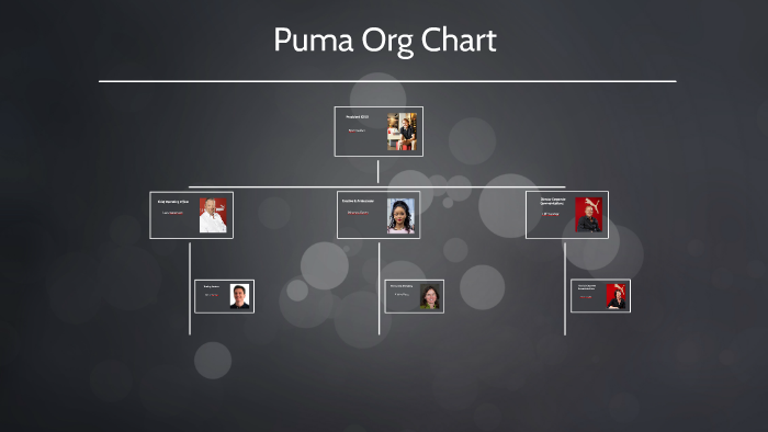 puma organizational chart
