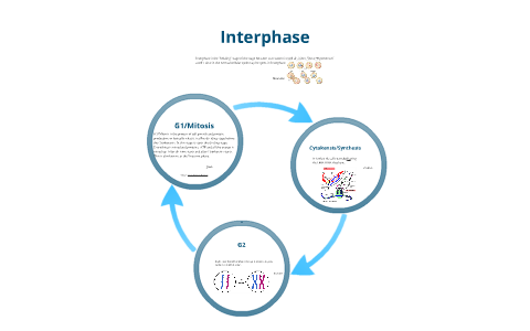 Project Intephase Interphase by Brandon Lee on Prezi