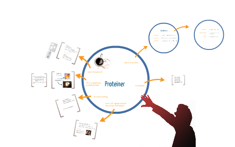 Proteiner og Aminosyrer by Daniel Rasapour on Prezi