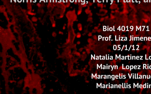 Why do dna and rna move toward the positive electrode in electrophoresis? image