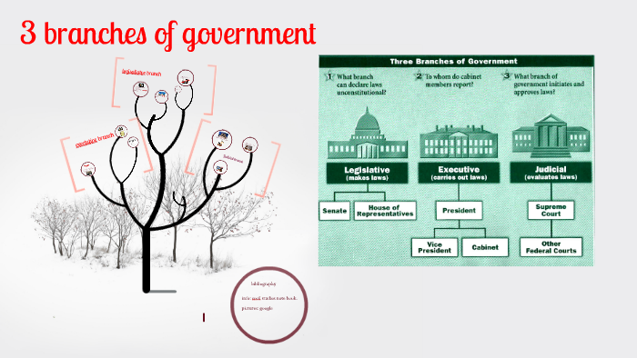3 Branches Of Government By Ezra Zachariah On Prezi