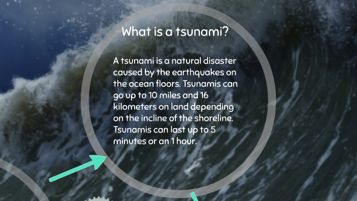 How much damage did the 2025 tsunami cause