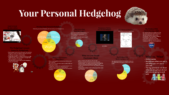 Hedgehog Concept by Jim Collins vs Ikigai (+ Infographics)