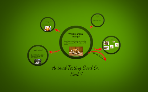 What is animal testing? by on Prezi