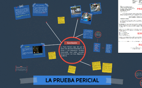 LA PRUEBA PERICIAL By Duzte Rojiblanko On Prezi