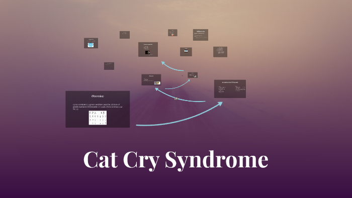 cat-cry-syndrome-by-avery-everett