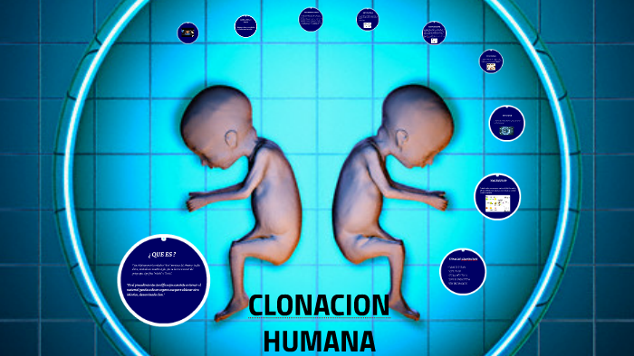 CLONACION HUMANA By Catalina Orellana On Prezi