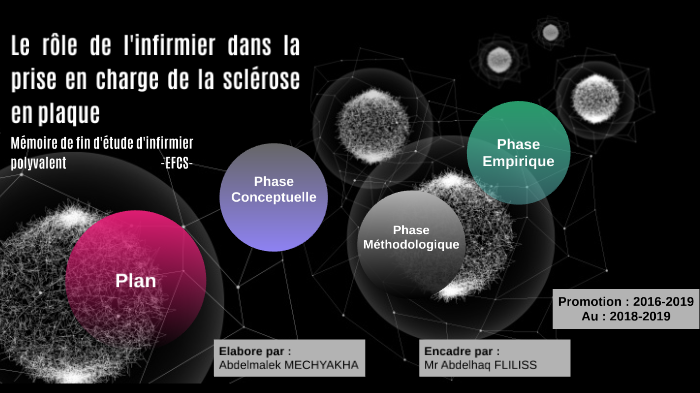 Le rôle de l'infirmier dans la prise en charge de la sclérose en plaque ...