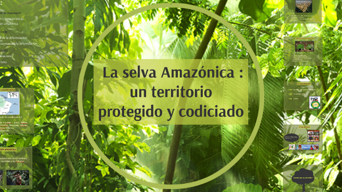LA SELVA AMAZONICA by Lison Schneyder on Prezi