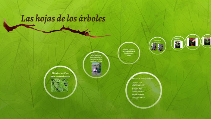 Método científico by Paula Muñoz Sánchez on Prezi