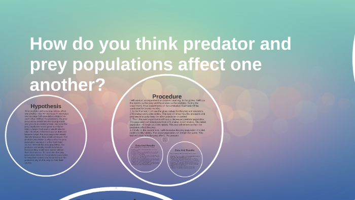 How Do You Think Predator And Prey Populations Affect One An By Julie Vieira Vieira