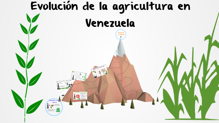 Evolucion de la agricultura en Venezuela by manuel baptista on Prezi