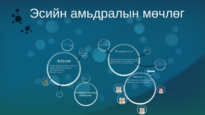 Эсийн амьдралын мөчлөг by Duuren Dugarmaa on Prezi