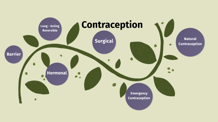 Contraception by dana ong on Prezi