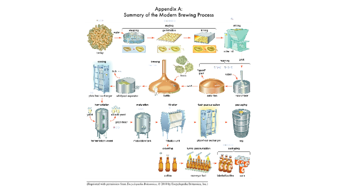 Brewing Process Overview by paul hoagland on Prezi