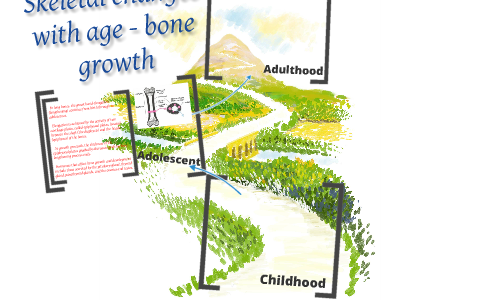 Skeletal changes with age (bone growth) by belinda dutt