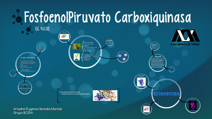 FosfoenolPiruvato by Ariadne Heredia on Prezi