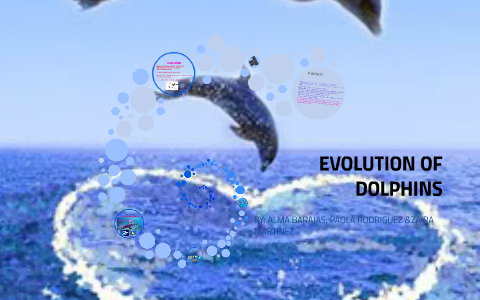 DOLPHIN EVOLUTION PROJECT by Molly Martinez on Prezi