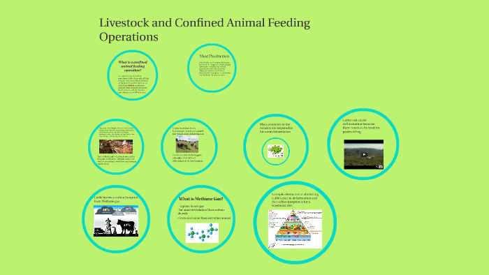 Livestock And Confined Animal Feeding Operations By Jack Carroll