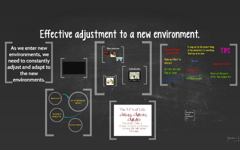 Effective adjustment to a new environment. by Nadeem Niyas