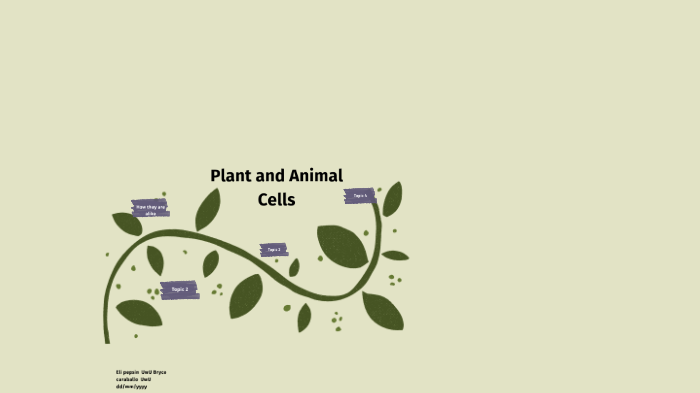 Plant and animal cells by Bryce Caraballo on Prezi