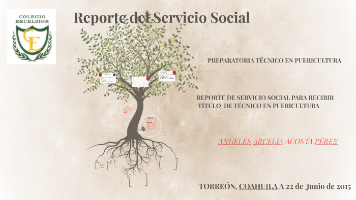 Reporte del Servicio Social by Anghy Acosta on Prezi