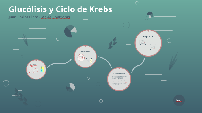 diagrama de glucolisis y ciclo de krebs