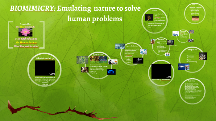 Biomimicry Emulating Nature To Solve Human Problems By Rachael Evans biomimicry-emulating-nature-to-solve-human-problems-by-rachael-evans