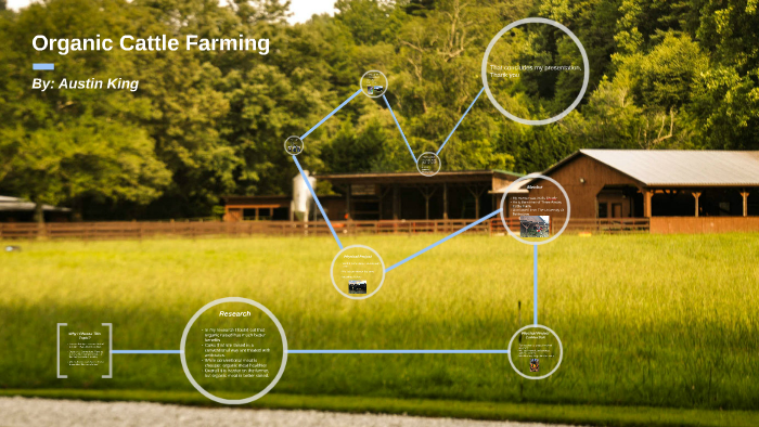Organic Cattle Farming by Austin King on Prezi