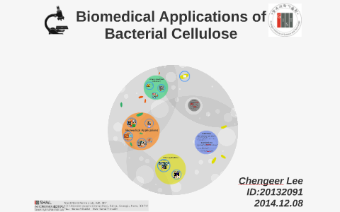 cellulose prezi