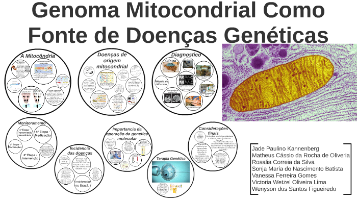 Doenças mitocondriais - Blog Mendelics